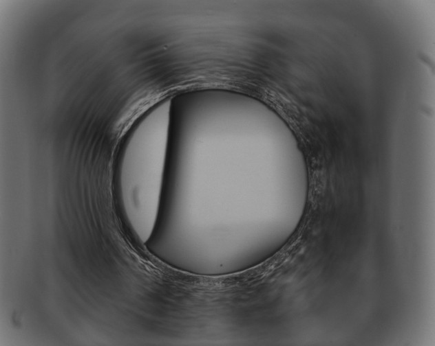 X0000092310194200709141038