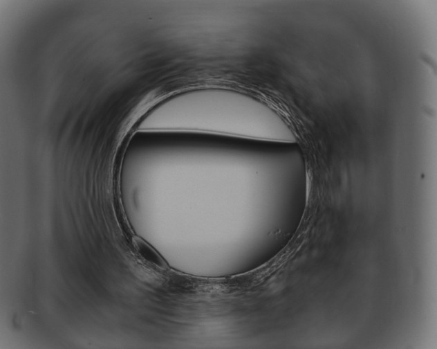 X0000092310195200709141038