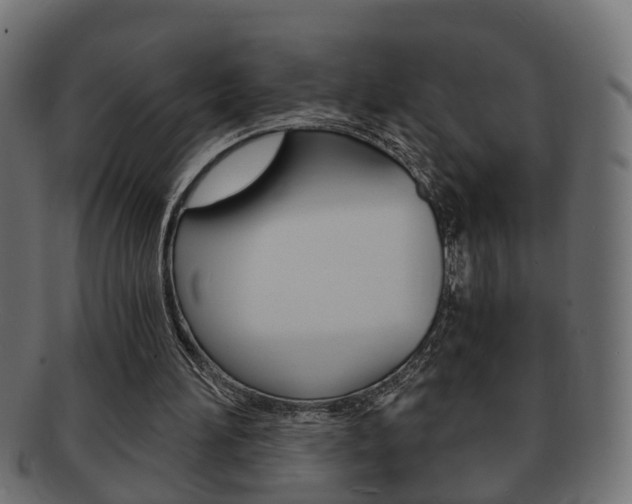 X0000092310196200709141038