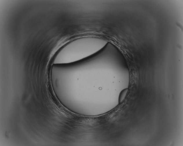 X0000092310198200709141038