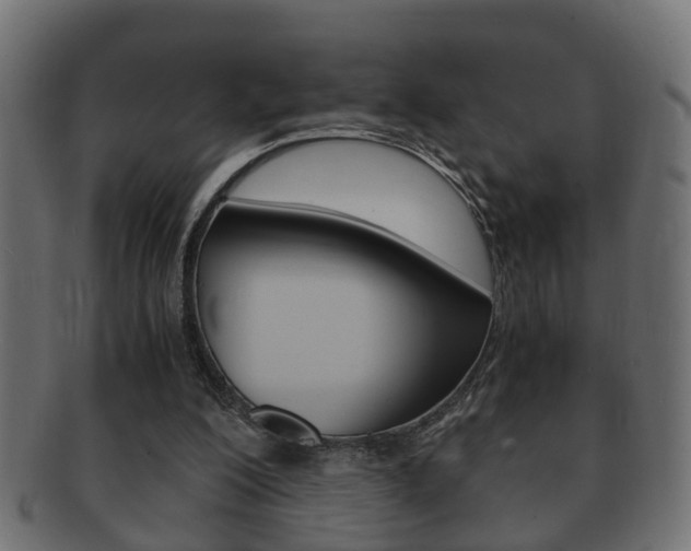 X0000092310200200709141038
