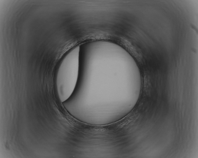 X0000092310202200709141038