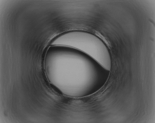 X0000092310203200709141038
