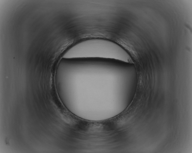 X0000092310206200709141038