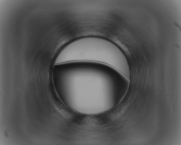 X0000092310207200709141038
