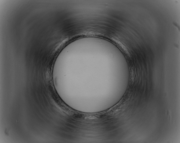 X0000092310208200709141038