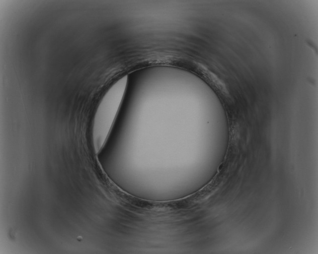 X0000092310209200709141038