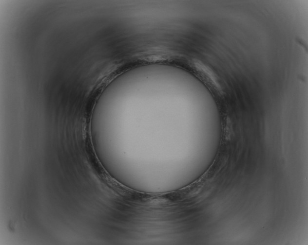 X0000092310210200709141038