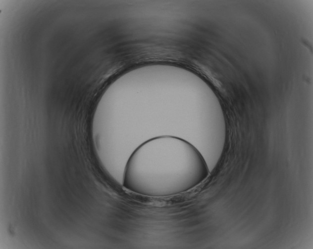 X0000092310211200709141038
