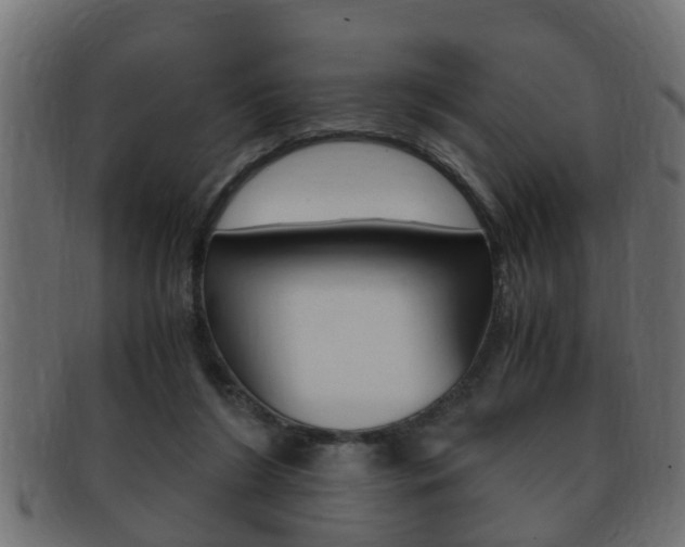 X0000092310212200709141038