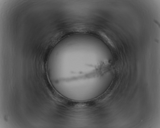 X0000092310213200709141038