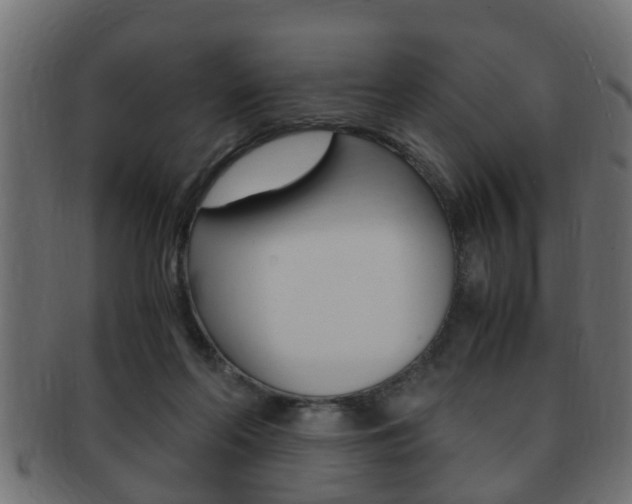 X0000092310214200709141038