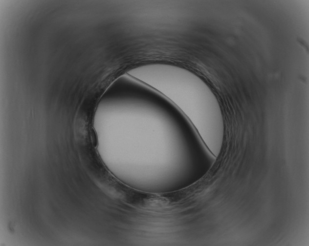 X0000092310215200709141038