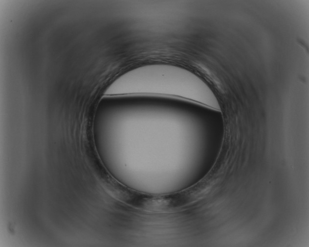 X0000092310217200709141037