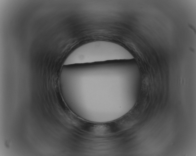X0000092310218200709141037