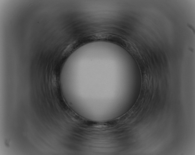 X0000092310220200709141037