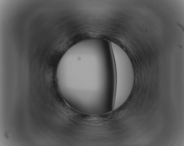 X0000092310221200709141037