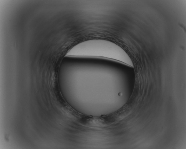 X0000092310223200709141037