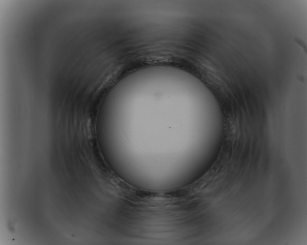 X0000092310224200709141037
