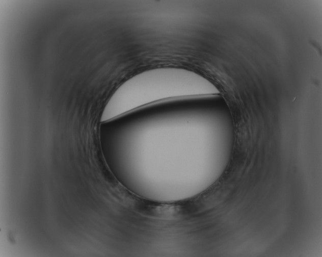 X0000092310225200709141037