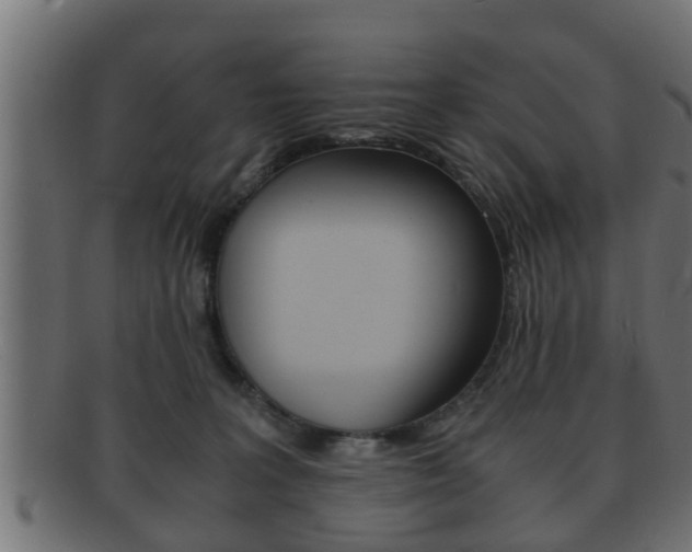 X0000092310227200709141037