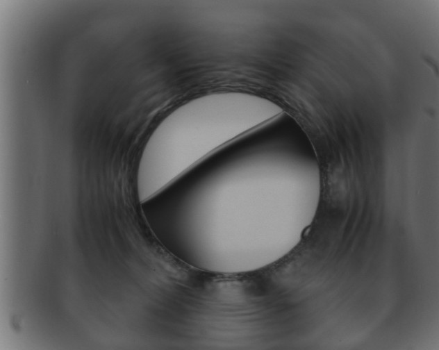 X0000092310228200709141037