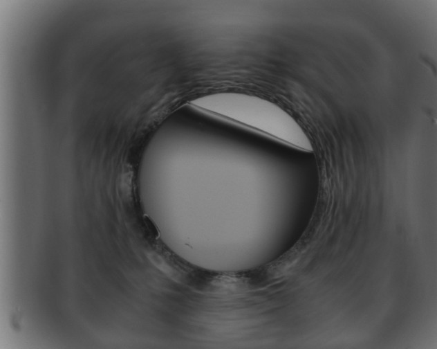 X0000092310231200709141037