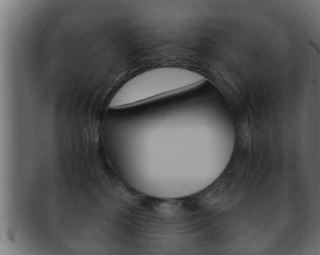 X0000092310232200709141037