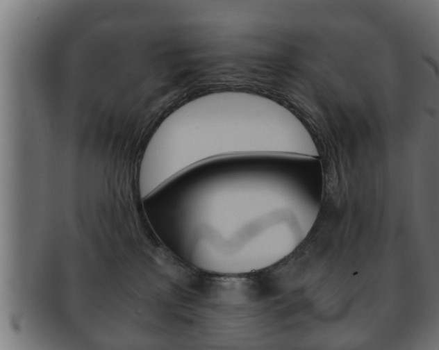 X0000092310233200709141037