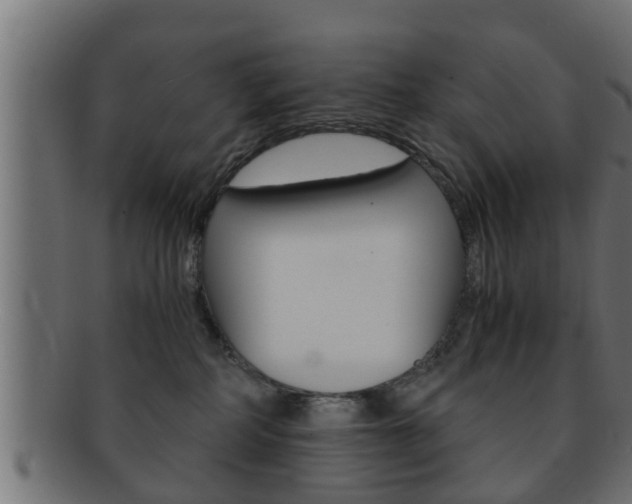 X0000092310234200709141037