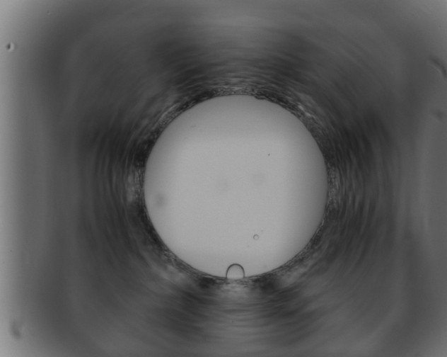 X0000092310236200709141037