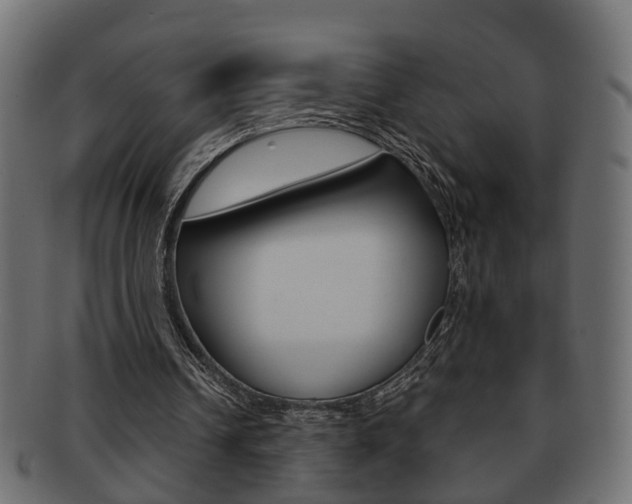 X0000092310242200709141036