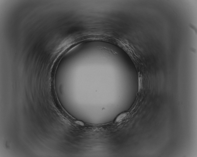 X0000092310243200709141037