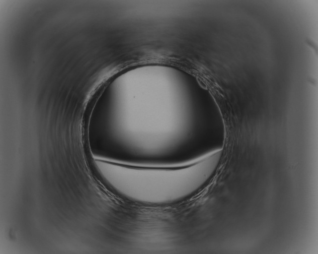 X0000092310244200709141037