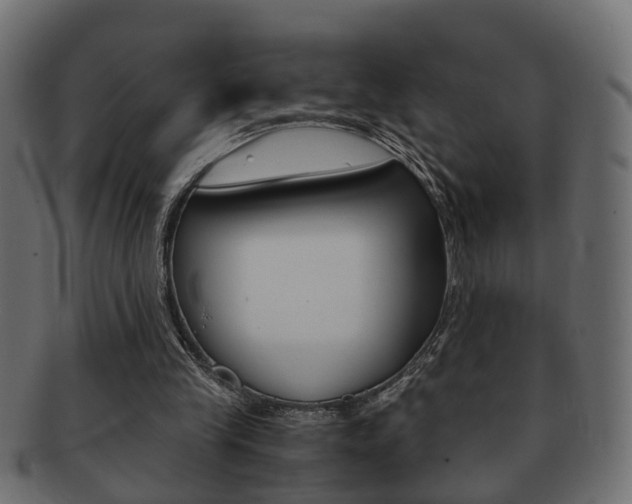 X0000092310245200709141037