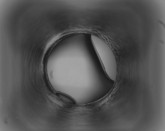 X0000092310246200709141037