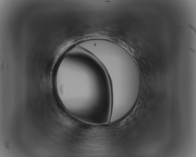 X0000092310248200709141037