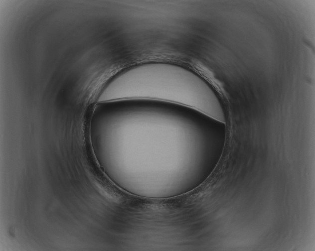 X0000092310250200709141037