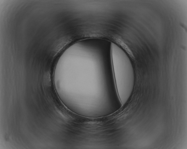 X0000092310251200709141037