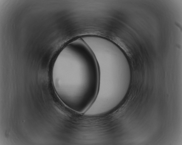 X0000092310252200709141037