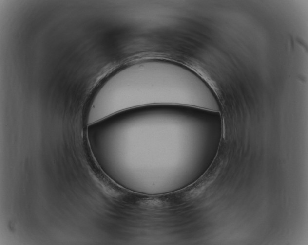 X0000092310253200709141037