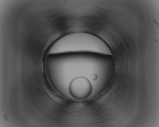 X0000092310254200709141037