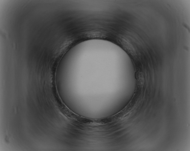 X0000092310255200709141037