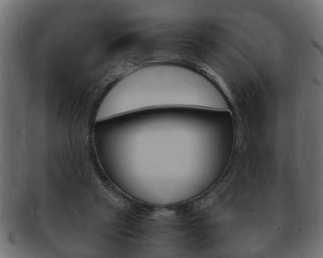 X0000092310257200709141037