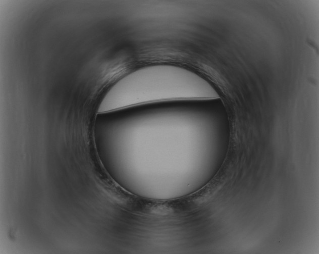 X0000092310258200709141037