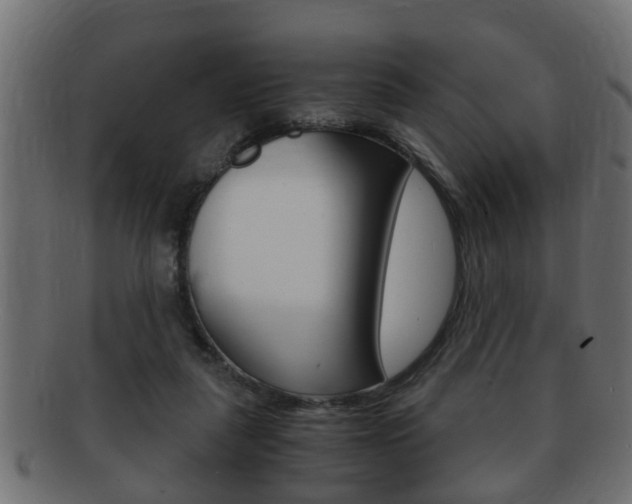 X0000092310259200709141037