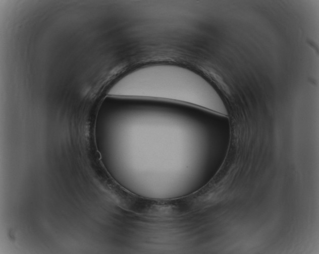 X0000092310260200709141037