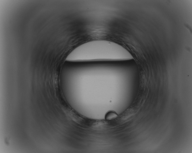 X0000092310274200709141037