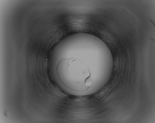 X0000092310278200709141037