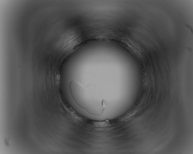 X0000092310281200709141037